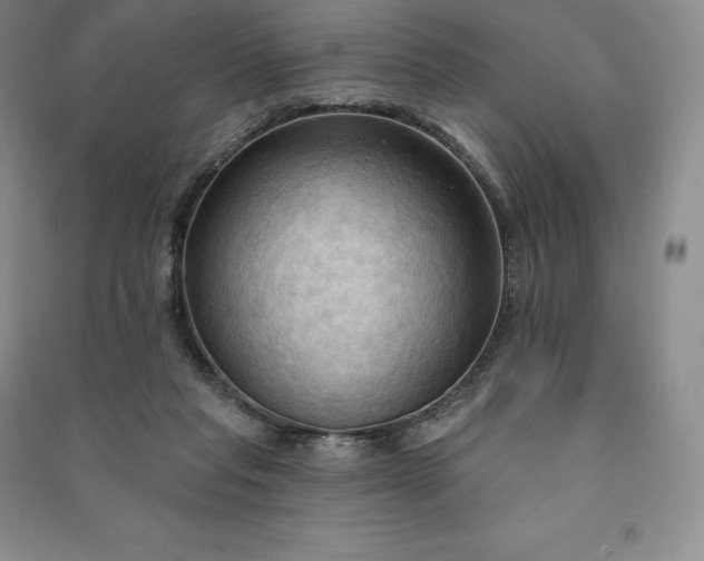 X0000090980261200708161902