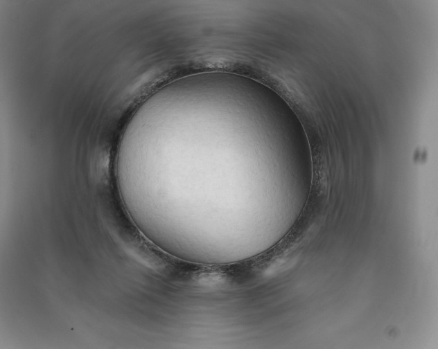 X0000090980262200708161902