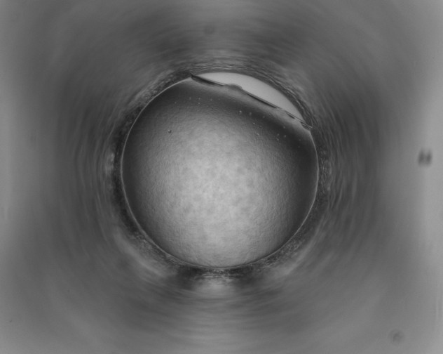 X0000090980263200708161902