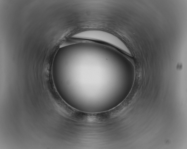 X0000090980264200708161902