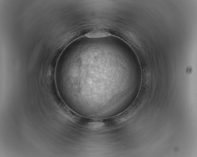 X0000090980266200708161902