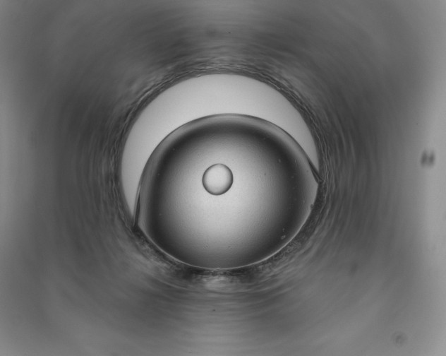 X0000090980268200708161902