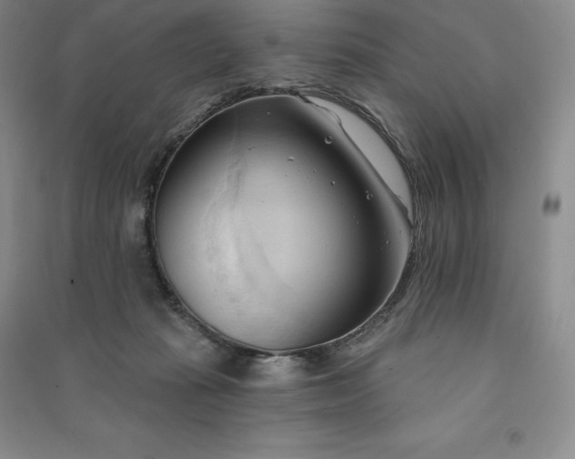 X0000090980269200708161902
