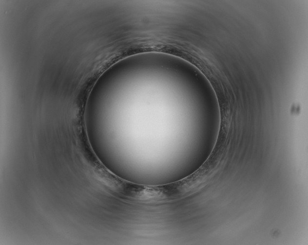 X0000090980270200708161902