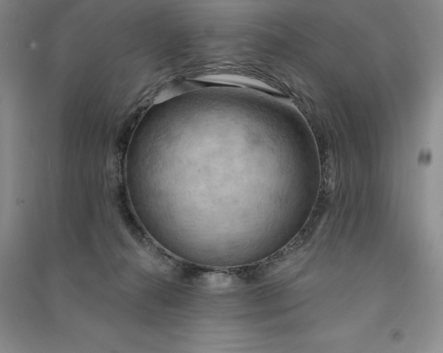 X0000090980272200708161902