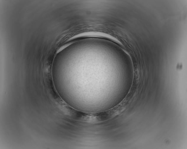 X0000090980276200708161902