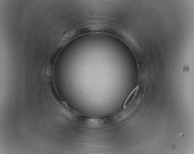 X0000090980277200708161902