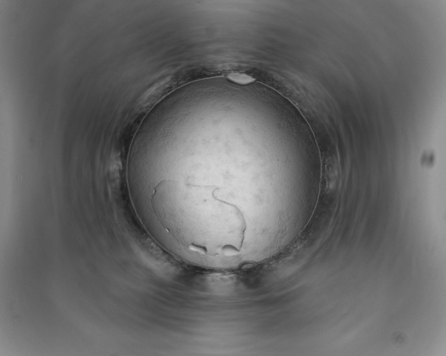 X0000090980279200708161902