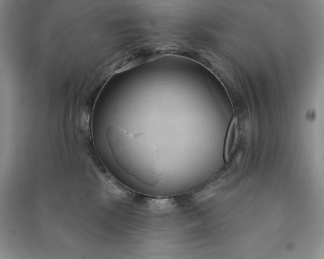 X0000090980281200708161902