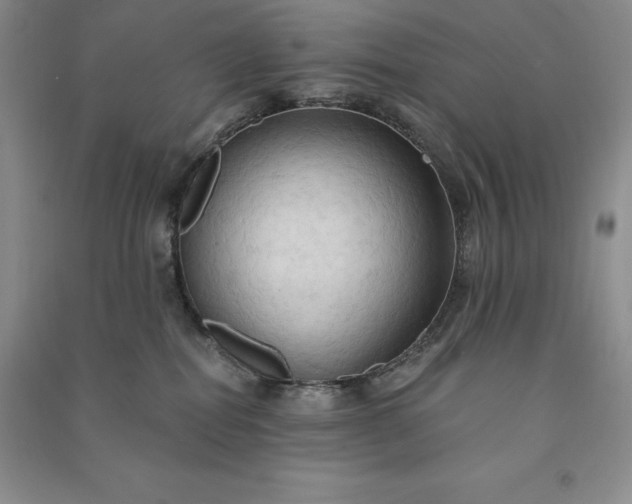 X0000090980282200708161902