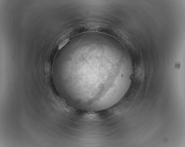 X0000090980283200708161902