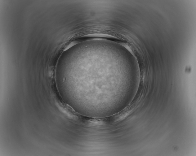 X0000090980284200708161902