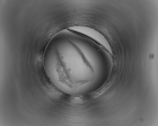 X0000090980285200708161902