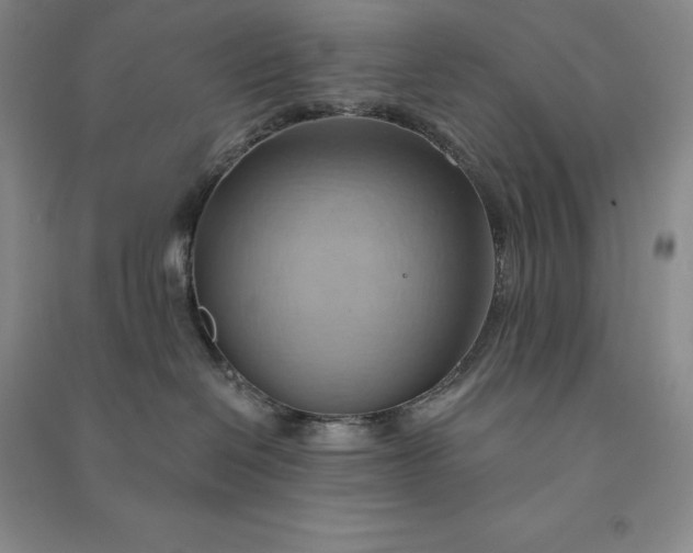 X0000090980286200708161902