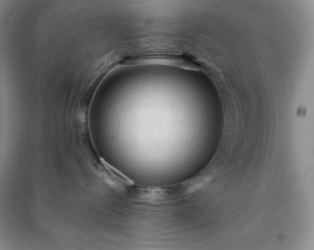 X0000090980288200708161902