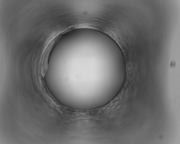 X0000090980289200708161902
