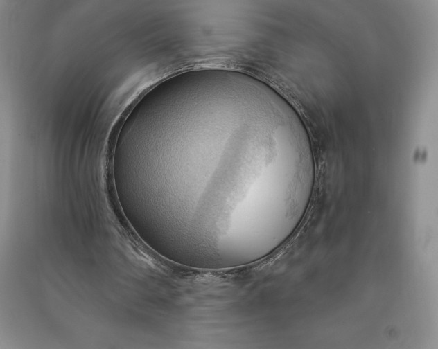 X0000090980290200708161902