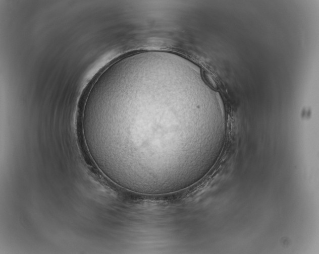 X0000090980292200708161902