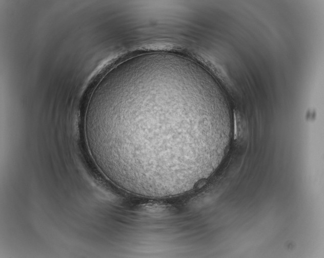 X0000090980300200708161902