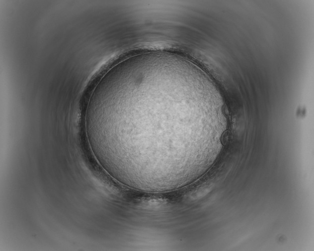 X0000090980304200708161902