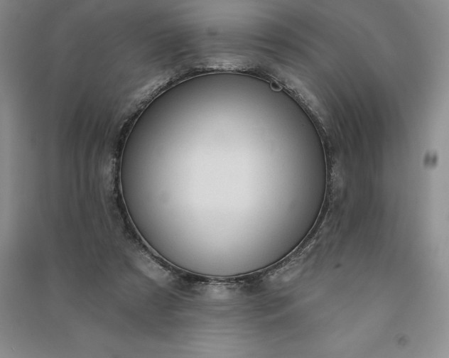 X0000090980305200708161902
