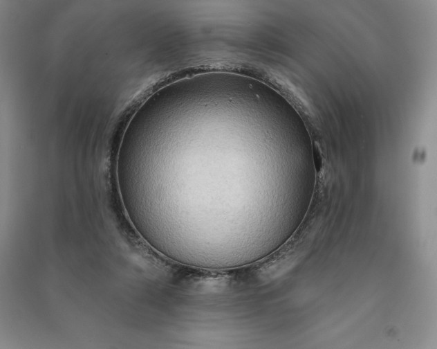 X0000090980306200708161902