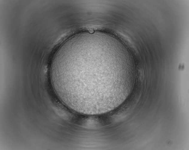 X0000090980308200708161901