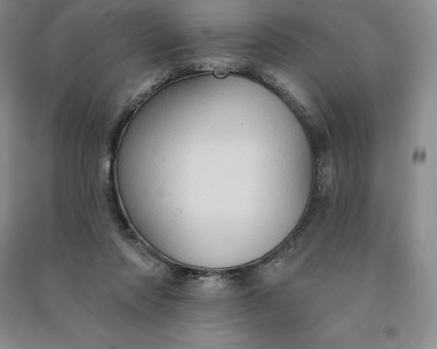 X0000090980310200708161901
