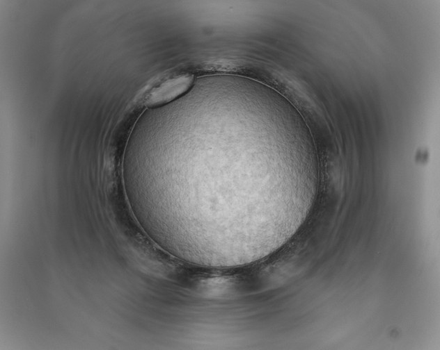 X0000090980312200708161901