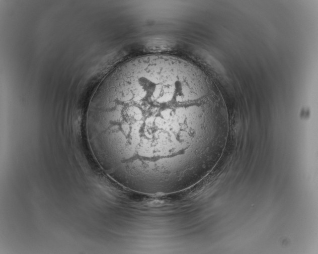X0000090980315200708161901