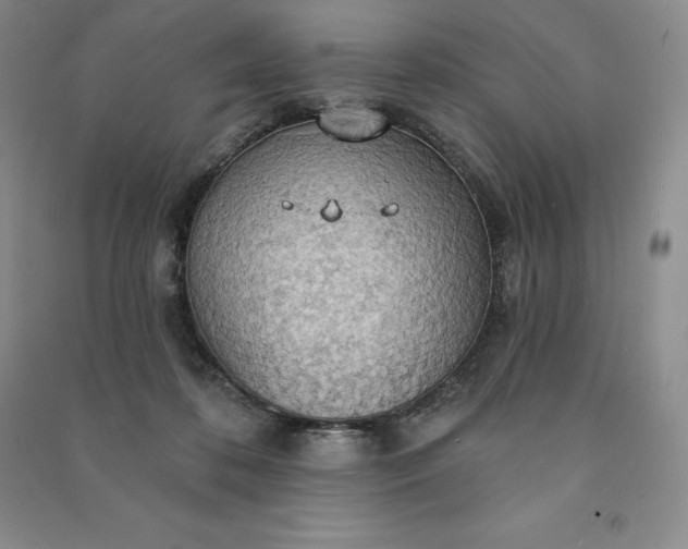 X0000090980316200708161901