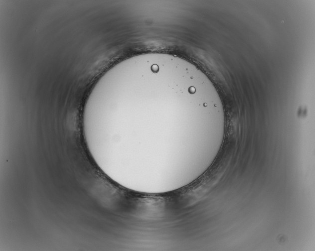 X0000090980317200708161901