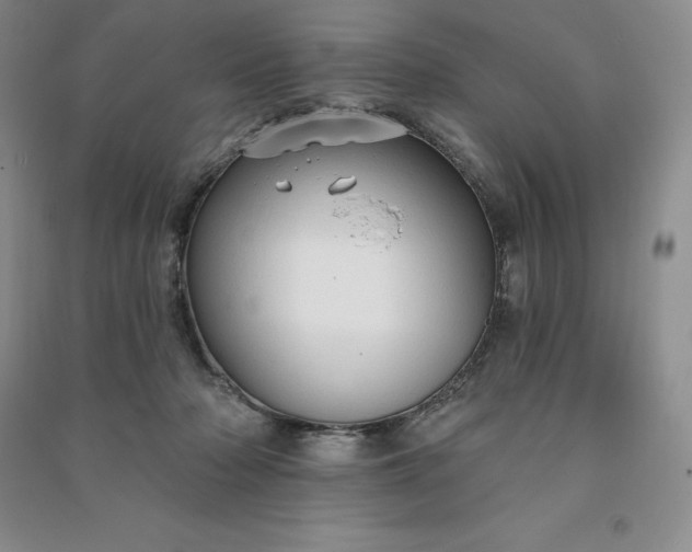 X0000090980318200708161901