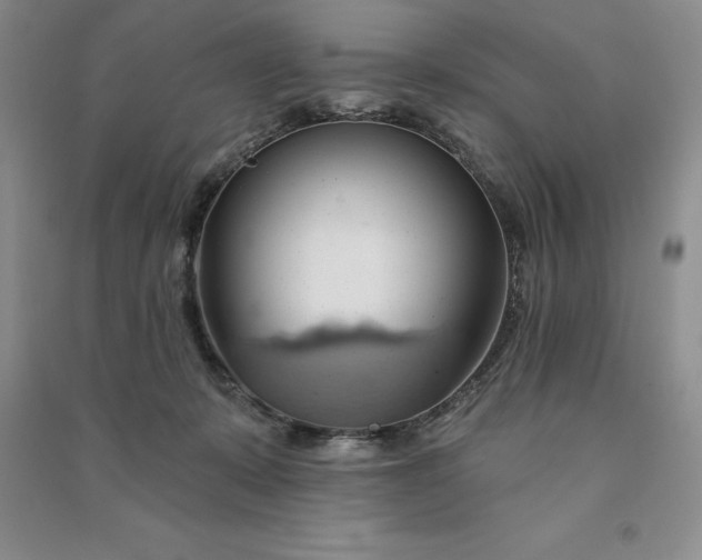 X0000090980319200708161901