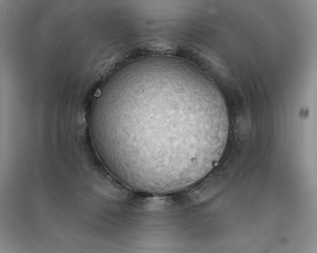 X0000090980320200708161901