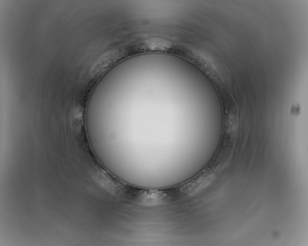 X0000090980321200708161901