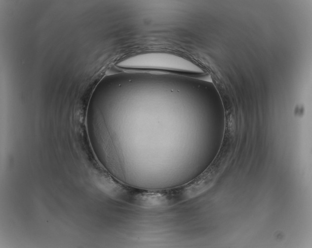 X0000090980322200708161901