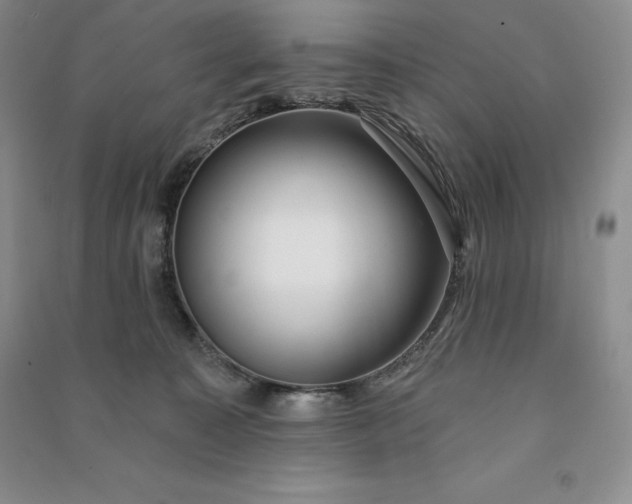 X0000090980323200708161901