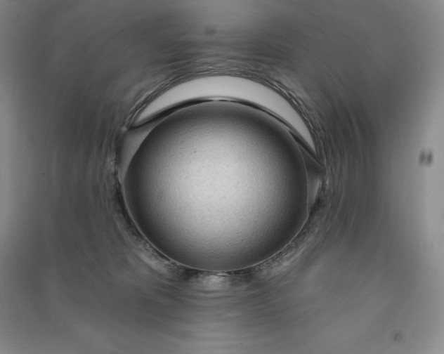 X0000090980325200708161901
