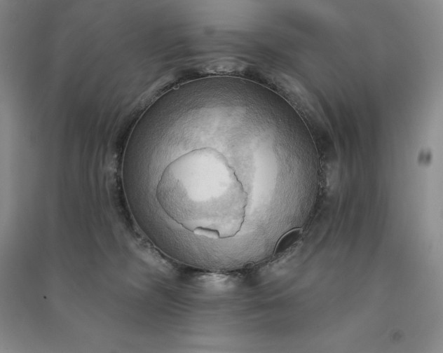 X0000090980326200708161901