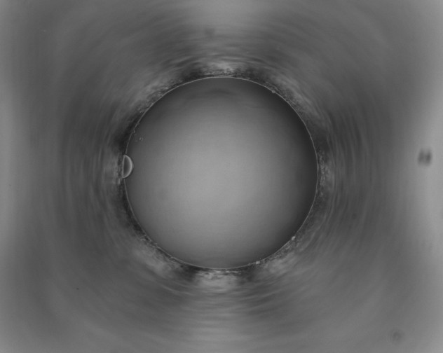 X0000090980331200708161901