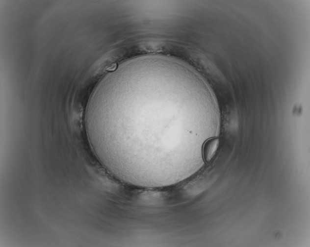 X0000090980332200708161901