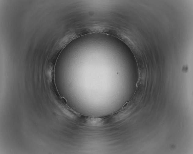 X0000090980334200708161901