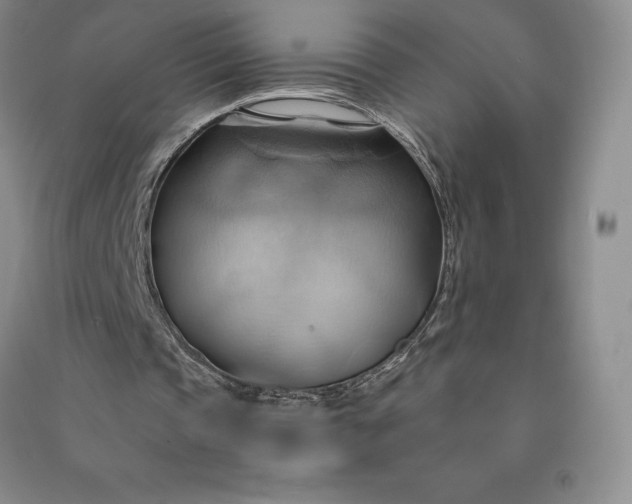 X0000090980337200708161901