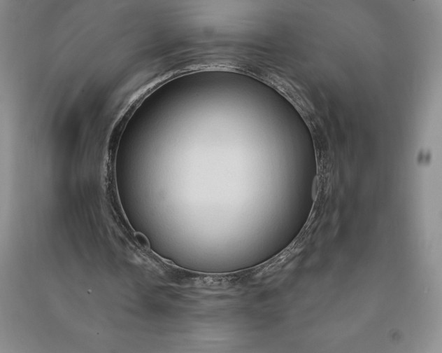 X0000090980338200708161901