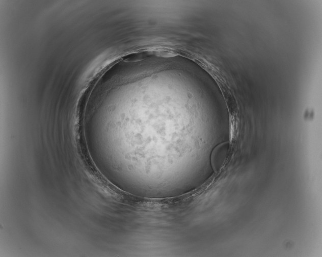 X0000090980339200708161901