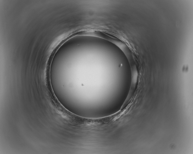 X0000090980340200708161901