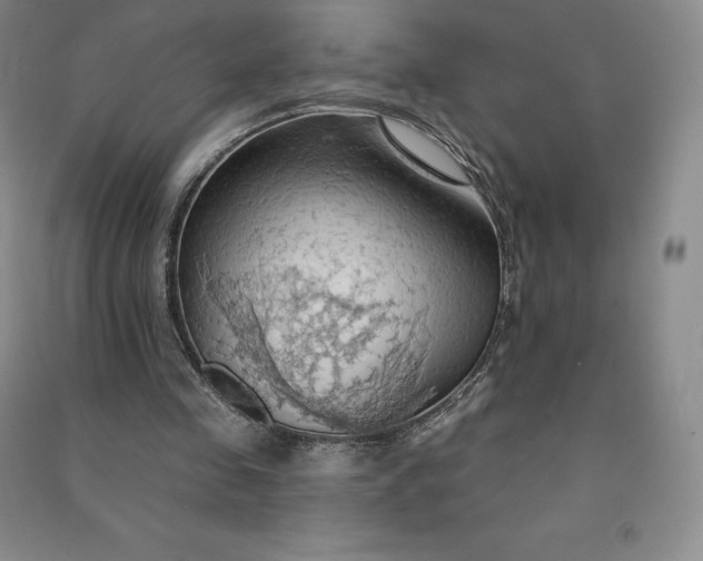 X0000090980341200708161901