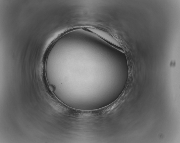 X0000090980342200708161901