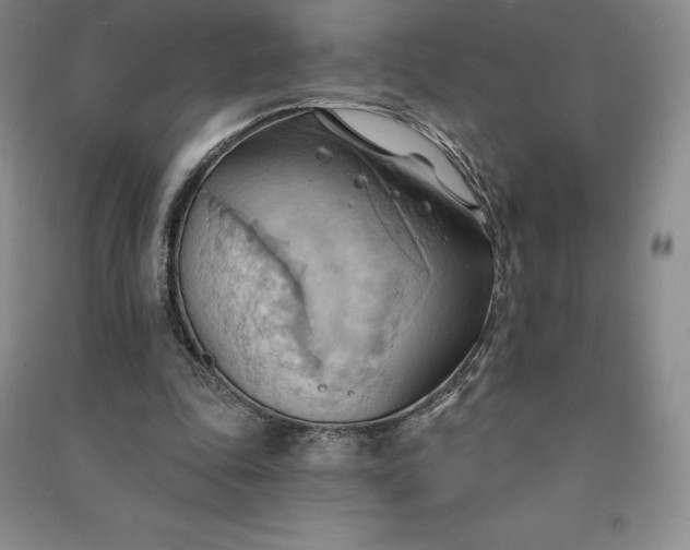X0000090980343200708161901